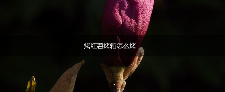 烤红薯烤箱怎么烤,第1张