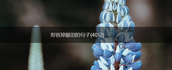 形容掉眼泪的句子(40句),第1张