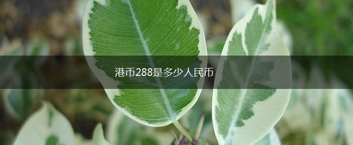 港币288是多少人民币,第1张