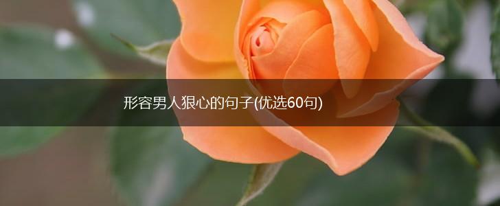 形容男人狠心的句子(优选60句),第1张