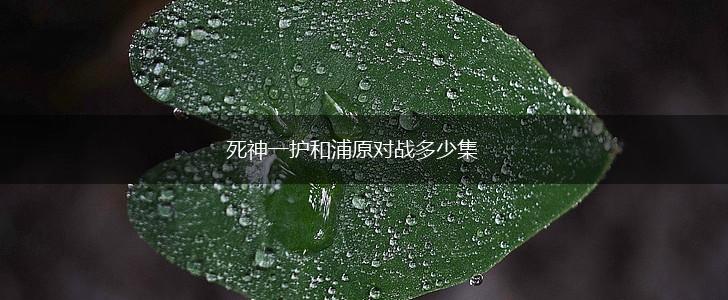 死神一护和浦原对战多少集,第1张