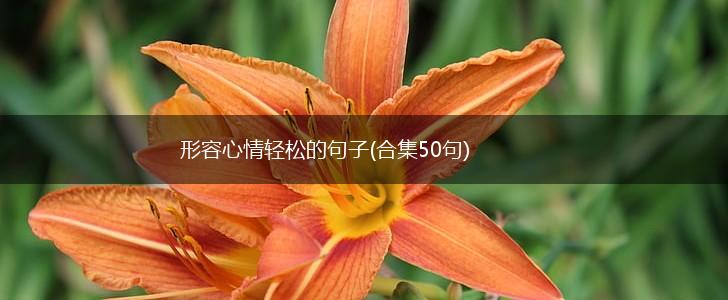 形容心情轻松的句子(合集50句),第1张