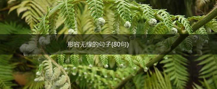 形容无缘的句子(80句),第1张