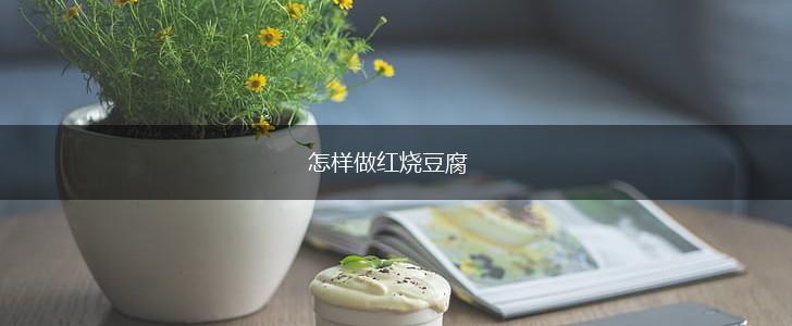 怎样做红烧豆腐,第1张