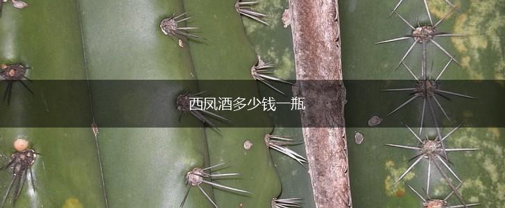 西凤酒多少钱一瓶,第1张