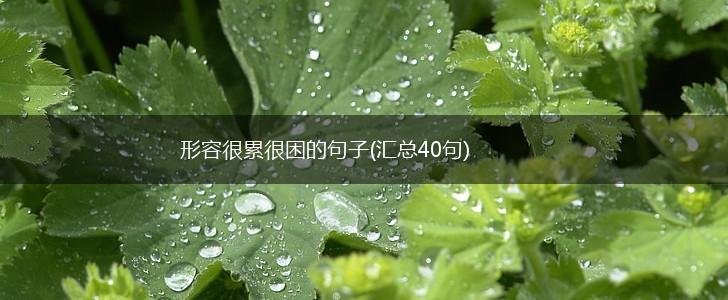 形容很累很困的句子(汇总40句),第1张
