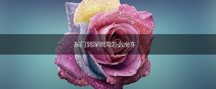 东门到深圳湾怎么坐车,第1张