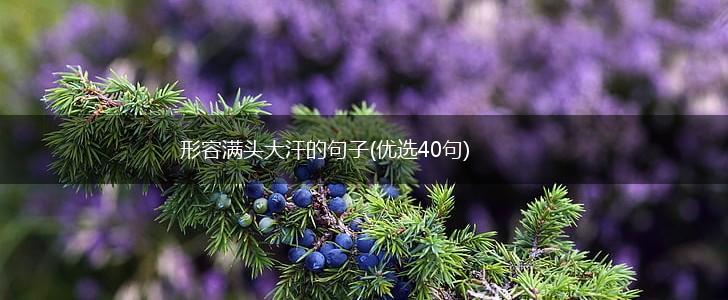 形容满头大汗的句子(优选40句),第1张