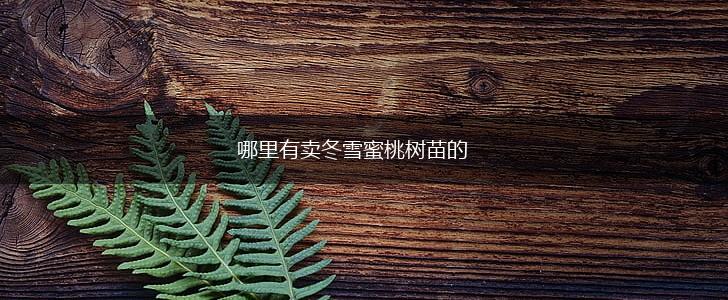 哪里有卖冬雪蜜桃树苗的,第1张