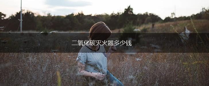 二氧化碳灭火器多少钱,第1张