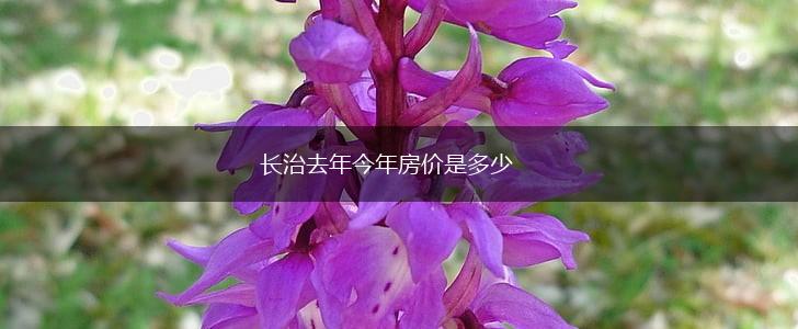 长治去年今年房价是多少,第1张