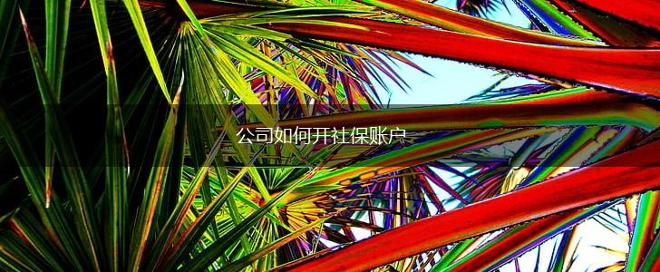 公司如何开社保账户,第1张