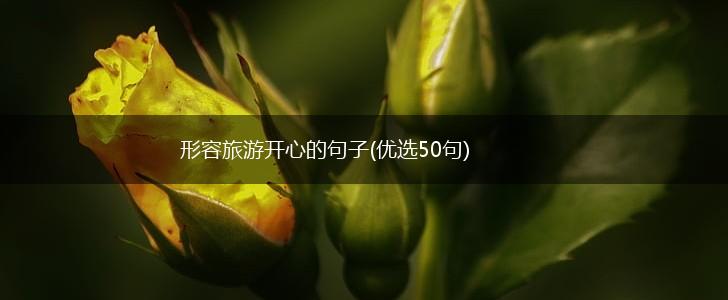 形容旅游开心的句子(优选50句),第1张