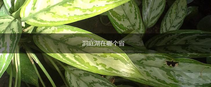 洞庭湖在哪个省,第1张