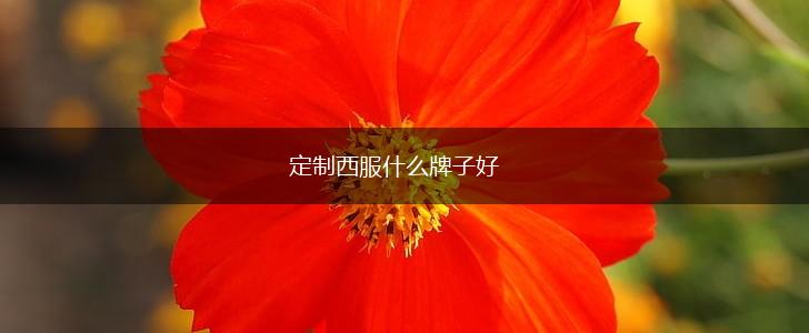 定制西服什么牌子好,第1张