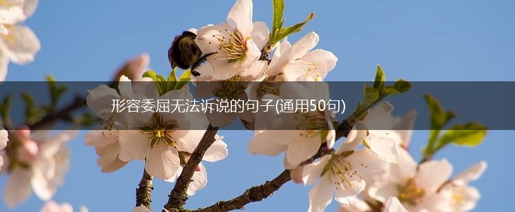 形容委屈无法诉说的句子(通用50句),第1张
