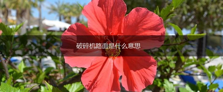 破碎机路面是什么意思,第1张