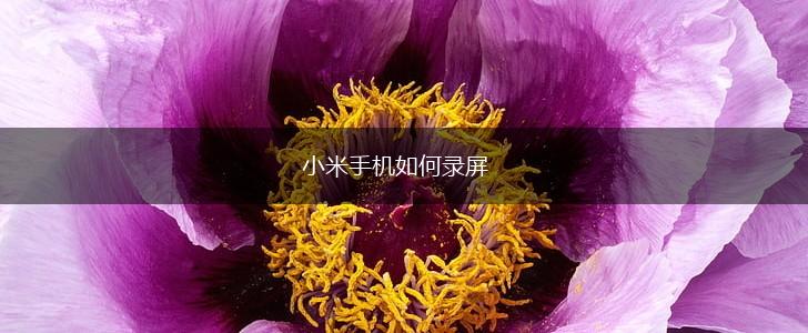 小米手机如何录屏,第1张