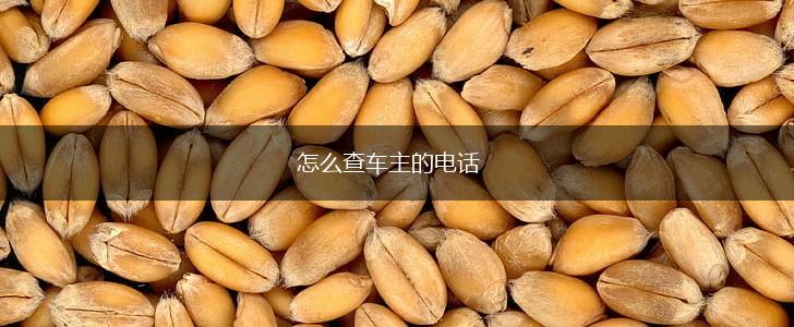怎么查车主的电话,第1张