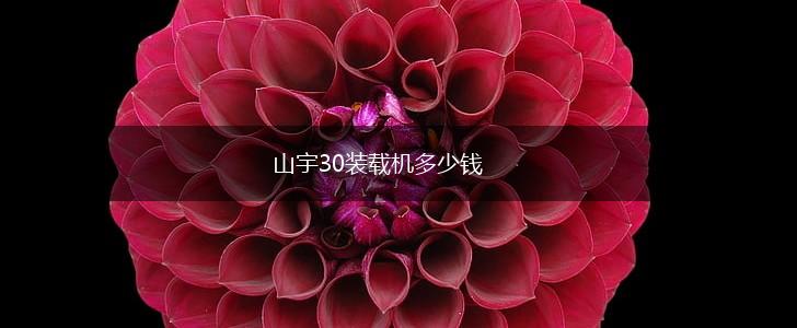 山宇30装载机多少钱,第1张