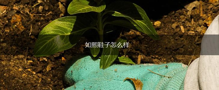 如熙鞋子怎么样,第1张
