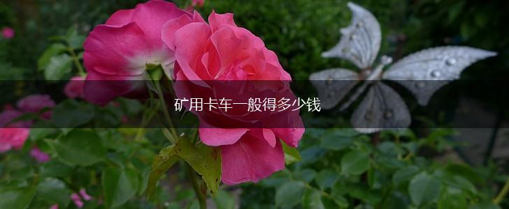 矿用卡车一般得多少钱,第1张