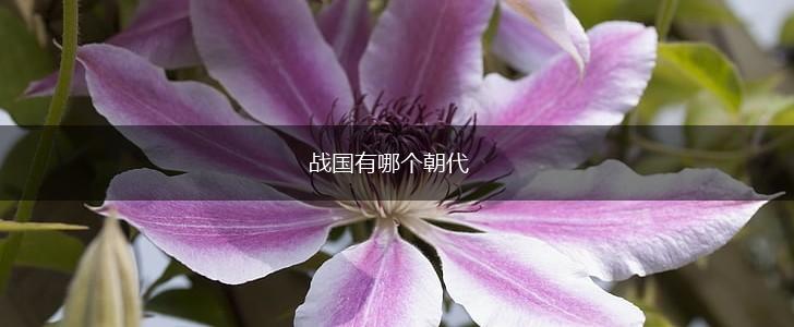 战国有哪个朝代,第1张