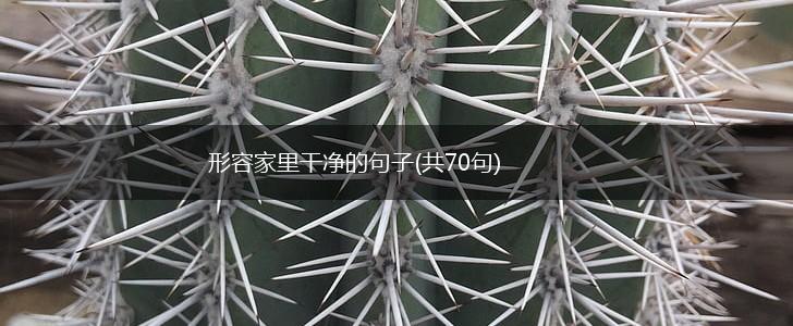 形容家里干净的句子(共70句),第1张