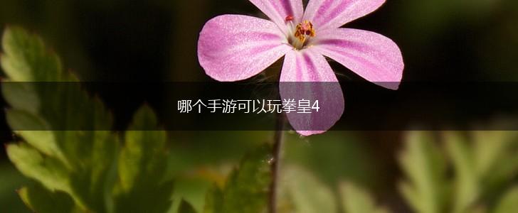 哪个手游可以玩拳皇4,第1张