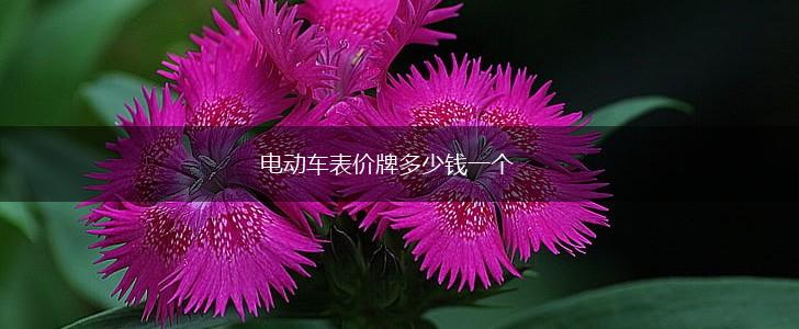 电动车表价牌多少钱一个,第1张