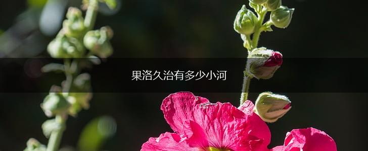 果洛久治有多少小河,第1张
