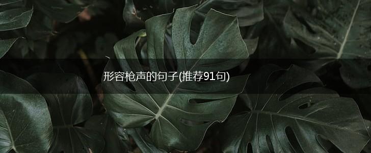 形容枪声的句子(推荐91句),第1张