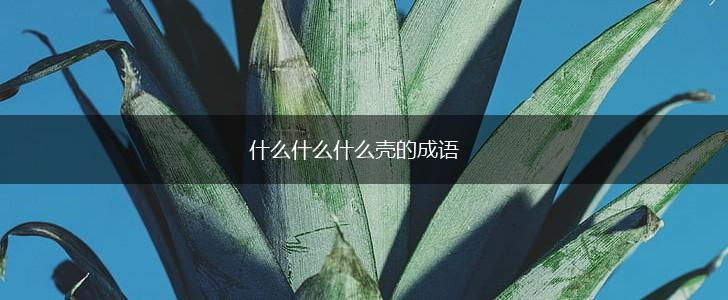 什么什么什么壳的成语,第1张
