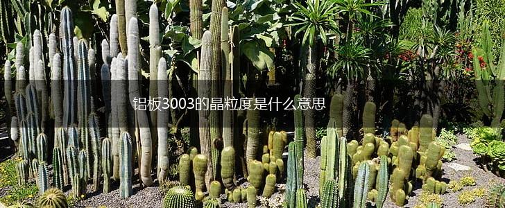 铝板3003的晶粒度是什么意思,第1张