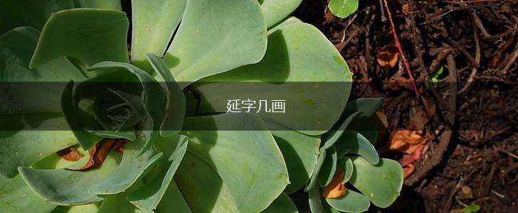 延字几画,第1张