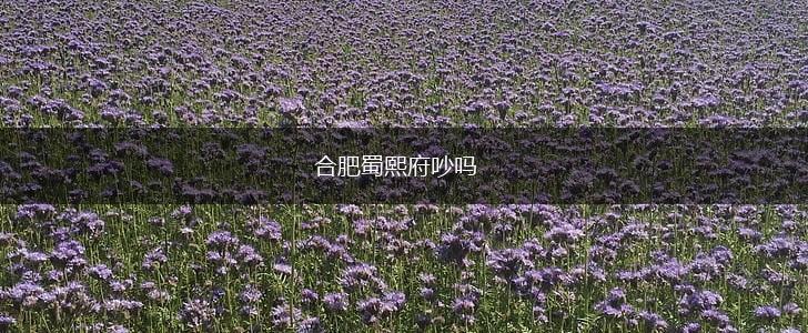 合肥蜀熙府吵吗,第1张