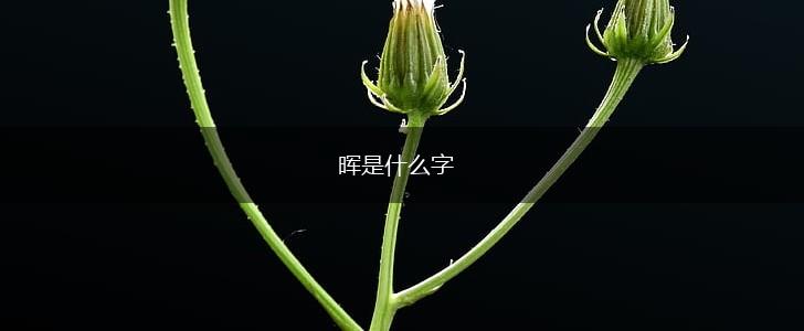 晖是什么字,第1张