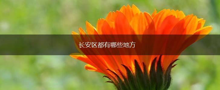 长安区都有哪些地方,第1张