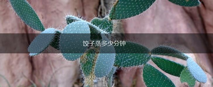 饺子蒸多少分钟,第1张