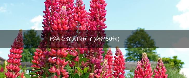 形容女强人的句子(必备50句),第1张