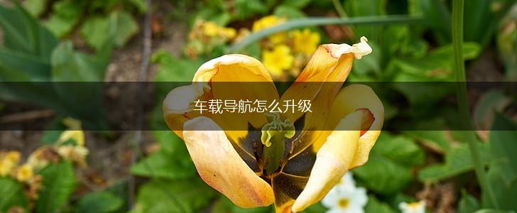 车载导航怎么升级,第1张