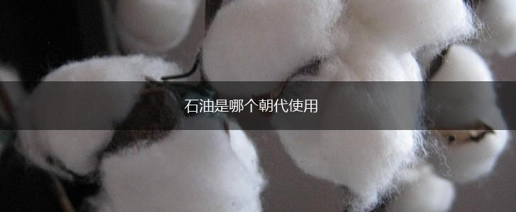 石油是哪个朝代使用,第1张