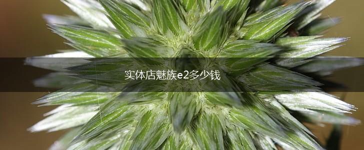 实体店魅族e2多少钱,第1张