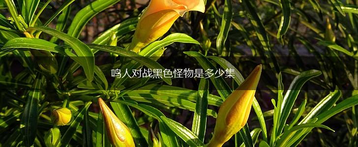 鸣人对战黑色怪物是多少集,第1张