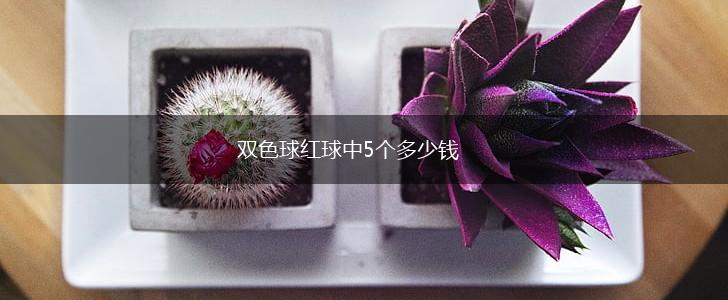 双色球红球中5个多少钱,第1张