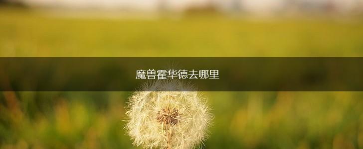 魔兽霍华德去哪里,第1张