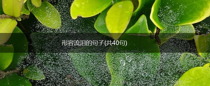 形容流泪的句子(共40句),第1张