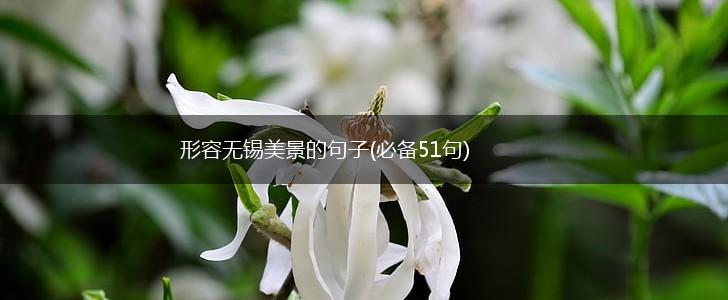 形容无锡美景的句子(必备51句),第1张