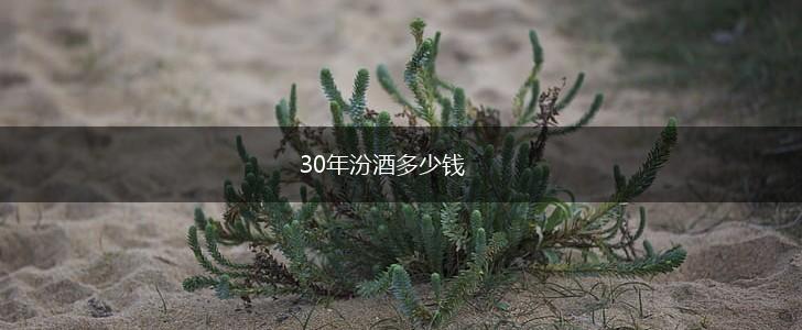 30年汾酒多少钱,第1张