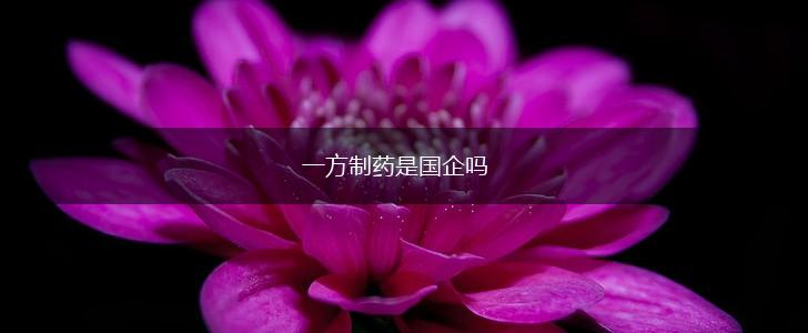 一方制药是国企吗,第1张